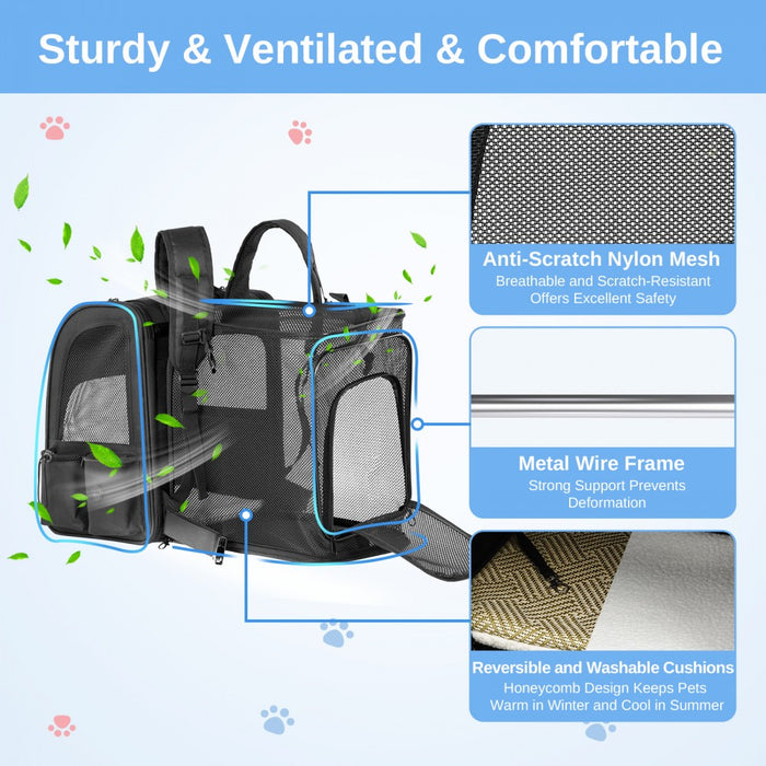 PTD2641 - Dogat Expandable And Foldable Pet Backpack Carrier with Ventilated Mesh Windows Comfortable & Secure Design - Black
